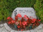 Ellen Pedersen.JPG